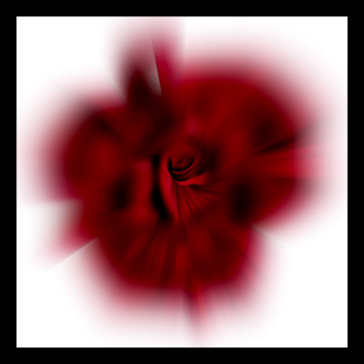 50% OFF on Divine Roses Paper Print(30 inch X 30 inch) 50% OFF on Divine Roses Paper Print(30 inch X 30 inch)