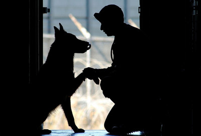 

Oshi - Caring Soldier (1) Paper Print(12 inch X 18 inch, Stretched)
