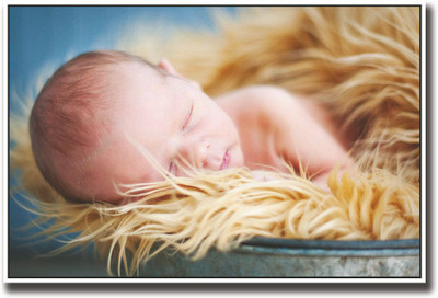 

Baby sleeping in golden fur Fine Art Print(12 inch X 18 inch, Rolled)