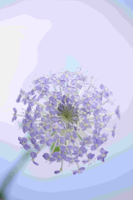 

Posterhouzz Flower Fine Art Print Poster Fine Art Print(18 inch X 12 inch, Rolled)