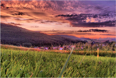 

Nature Paper Print(19 inch X 13 inch, Rolled)