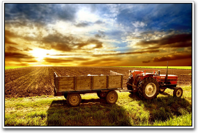 

Tractor in the fields Paper Print(12 inch X 18 inch)