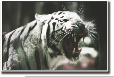 

Posterhouzz White tiger Fine Art Print(12 inch X 18 inch, Rolled)