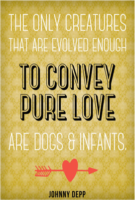 

Johnny Depp Photographic Paper(19 inch X 13 inch, Rolled)