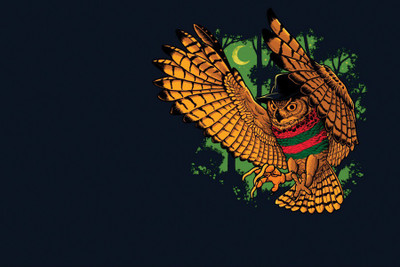 

Owl Bird Paper Poster 12"x18" Paper Print(13 inch X 19 inch, Rolled)