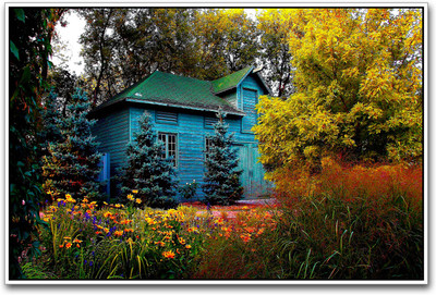 

Beautiful house in forest Paper Print(12 inch X 18 inch)
