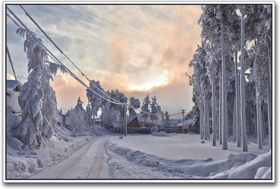

Heavy Snowfall Paper Print(12 inch X 18 inch)