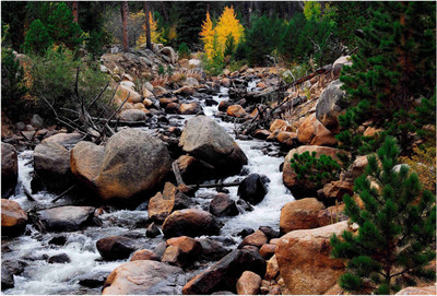 

Nature Paper Print(19 inch X 13 inch, Rolled)