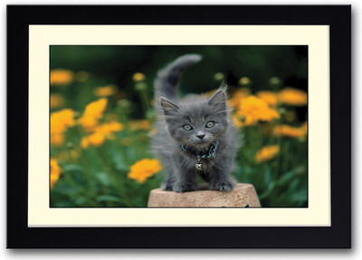 

Cute Cat AFP0495 Fine Art Print(14 inch X 20 inch, Framed)