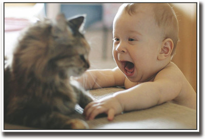 

Cute baby with cat Fine Art Print(12 inch X 18 inch, Rolled)