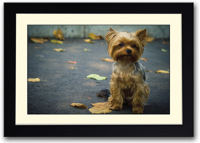 

Cute Dog On Street Fine Art Print(14 inch X 20 inch, Framed)
