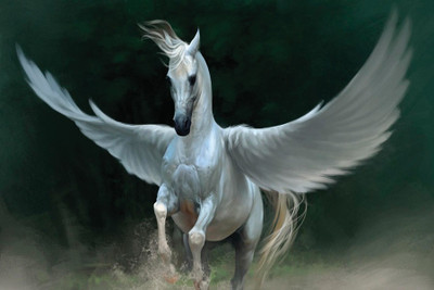 

Pegasus Paper Poster 12"x18" Paper Print(13 inch X 19 inch, Rolled)