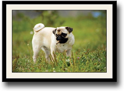 

Cute dog AFP0517 Fine Art Print(10 inch X 14 inch, Framed)