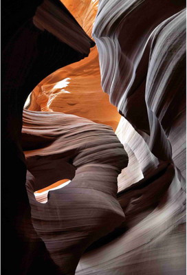 

Nature Paper Print(19 inch X 13 inch, Rolled)