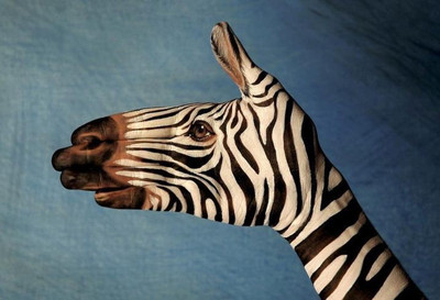 

Posterhouzz Animal Hand Painting Fine Art Print Poster Fine Art Print(12 inch X 18 inch, Rolled)