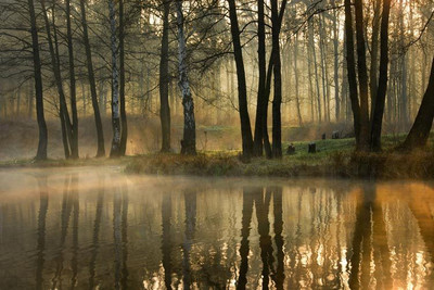 

Nature Fine Art Print(32 inch X 48 inch, Rolled)