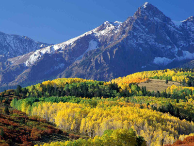 

Posterhouzz Autumn Fine Art Print Poster Fine Art Print(12 inch X 18 inch, Rolled)