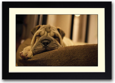 

Sleeling Puppy Fine Art Print(14 inch X 20 inch, Framed)