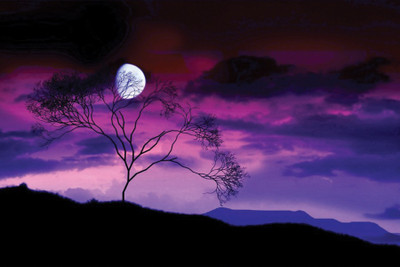 

Dark Night Scenery Paper Print(12 inch X 18 inch, Rolled)