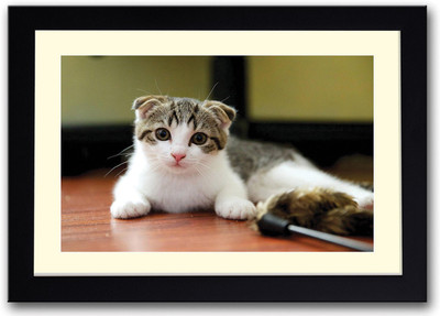

Cute Cat Fine Art Print(14 inch X 20 inch, Framed)