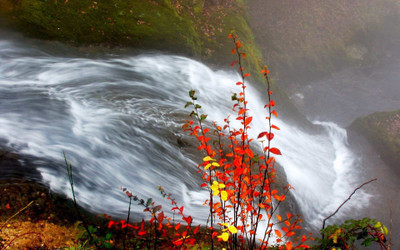 

Posterhouzz Autumn Fine Art Print Poster Fine Art Print(12 inch X 18 inch, Rolled)