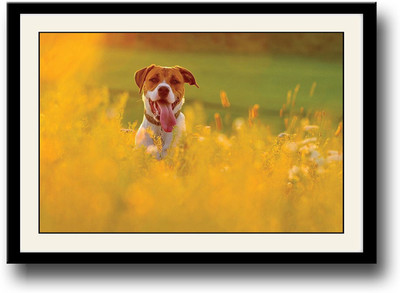 

Dog in farm Fine Art Print(10 inch X 14 inch, Framed)