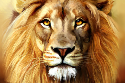

Oshi - Lion Fine Art Paper Print(12 inch X 18 inch, Streched)