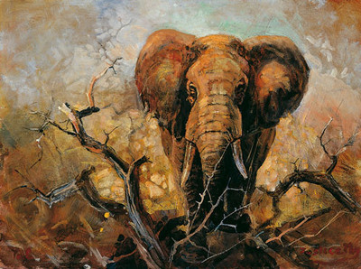 31% OFF on African Safari Canvas Art(9 inch X 12 inch)