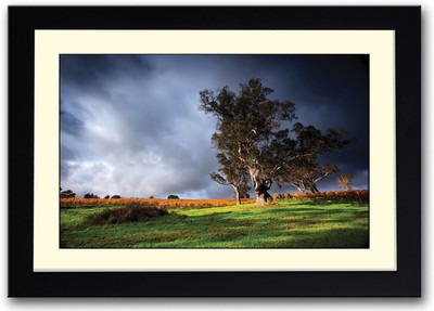 

Wind blowing through trees Fine Art Print(14 inch X 20 inch, Framed)