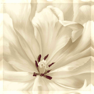 

Posterhouzz Abstract Fine Art Print Poster Fine Art Print(18 inch X 12 inch, Rolled)