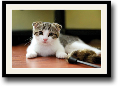 

Cute Cat Fine Art Print(10 inch X 14 inch, Framed)