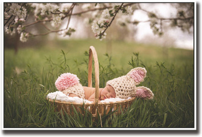 

Cute baby in bucket in Garden Fine Art Print(12 inch X 18 inch, Rolled)