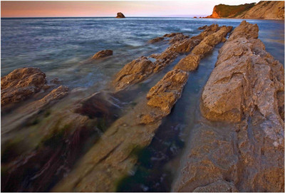 

Nature Paper Print(19 inch X 13 inch, Rolled)