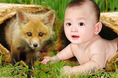

Child's Love - Cute Baby (69) Paper Print(12 inch X 18 inch, Rolled)