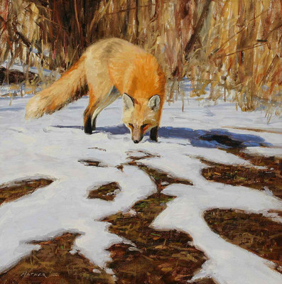 

Posterhouzz Animal Fine Art Print Poster Fine Art Print(18 inch X 12 inch, Rolled)