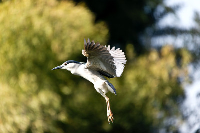 50% OFF on In Flight Paper Print(27 inch X 40 inch)