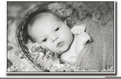 

Posterhouzz Baby in basket looking b&w Fine Art Print(12 inch X 18 inch, Rolled)