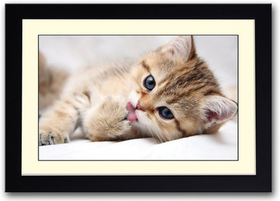 

Cute Cat AFP0491 Fine Art Print(14 inch X 20 inch, Framed)