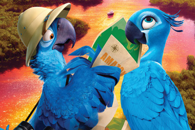 

ESP Creation Amazon Bird 18x27 Inch Paper Poster Paper Print(27 inch X 18 inch, Rolled)