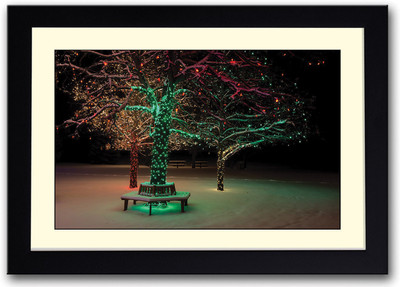 

Lights on Tree Fine Art Print(14 inch X 20 inch, Framed)
