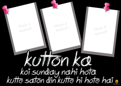 

Bheja Fry Poster Kutton Ke Din 3photos (29.7 cm X 42 cm) Paper Print(11.69 inch X 16.53 inch, Rolled)