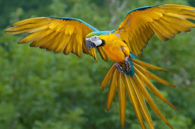 

Posterhouzz Fine Art Print(12 inch X 18 inch, Rolled)