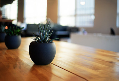 

House Plant - Medium Size Ready To Frame Rolled Digital Art Print On Photographic Paper(27 inch X 18 inch, Rolled)