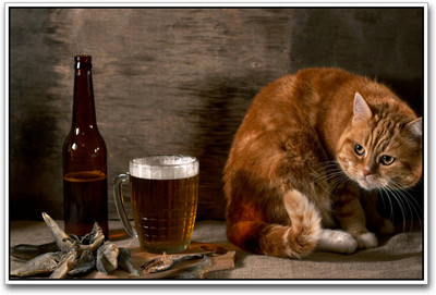 

Beer and Cat Paper Print(12 inch X 18 inch)