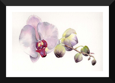 

Tallenge - Pleasant and a Pleasing Orchid - Premium Quality A3 Size Framed Poster Paper Print(17 inch X 12 inch, Framed)