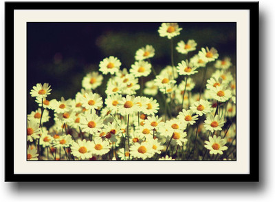 

Beautiful white sunflowers Fine Art Print(10 inch X 14 inch, Framed)
