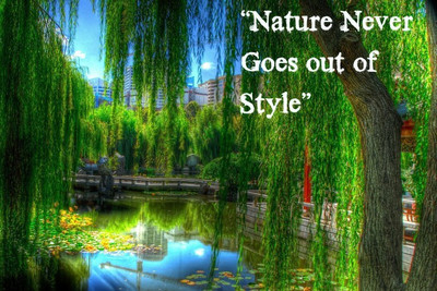 

Posterhouzz Nature Poster Photographic Paper(12 inch X 18 inch, Rolled)
