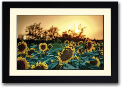 

Yellow Sunflower Fine Art Print(14 inch X 20 inch, Framed)