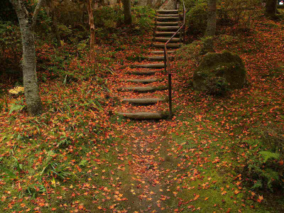 

Posterhouzz Autumn Fine Art Print Poster Fine Art Print(12 inch X 18 inch, Rolled)