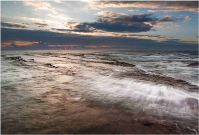 

Nature Paper Print(19 inch X 13 inch, Rolled)